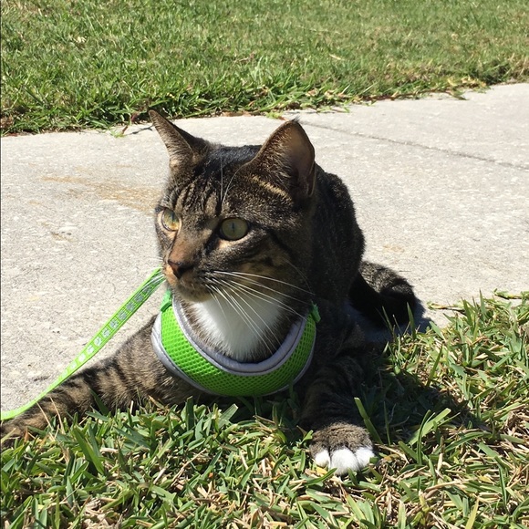 MEET YOUR POSHER - Picture 6 of 7